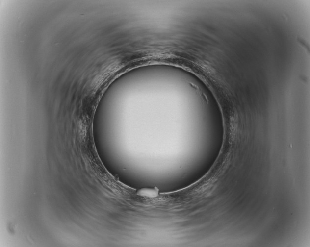 X0000100981257200807011435