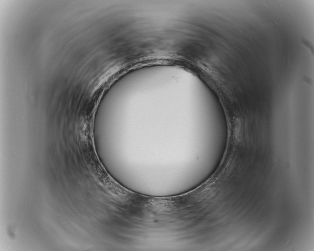 X0000100981258200807011435