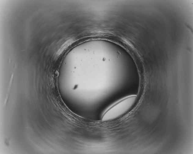 X0000100981259200807011435