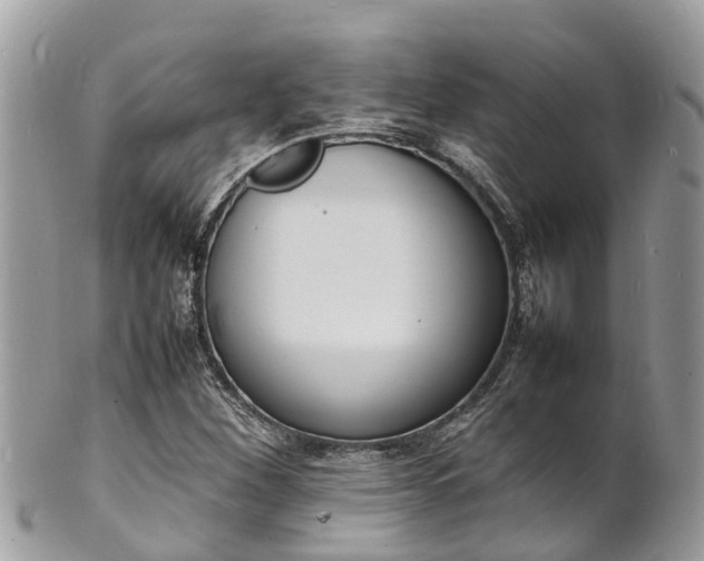 X0000100981260200807011435