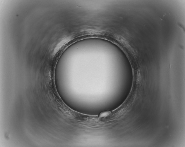 X0000100981261200807011435