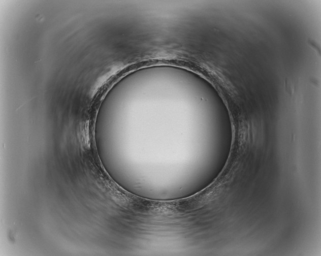 X0000100981262200807011435