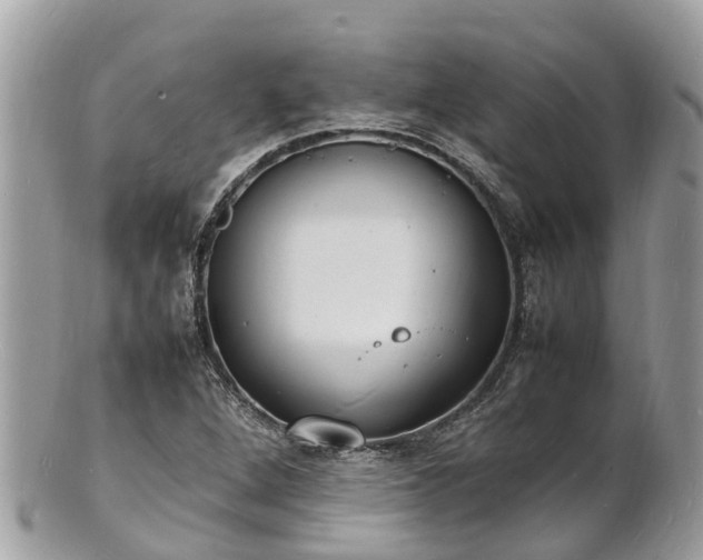 X0000100981264200807011435