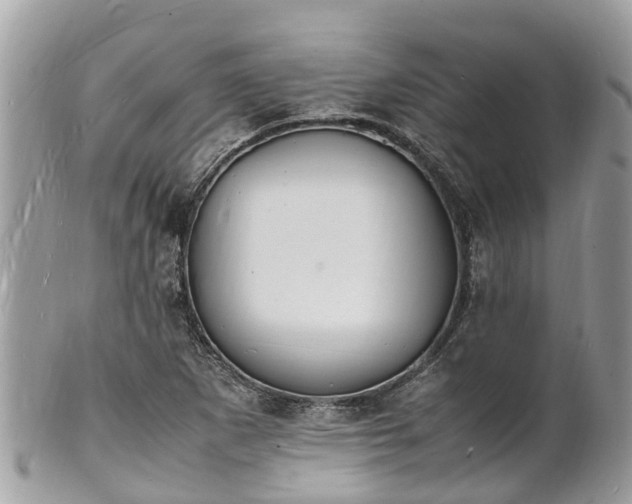 X0000100981265200807011435