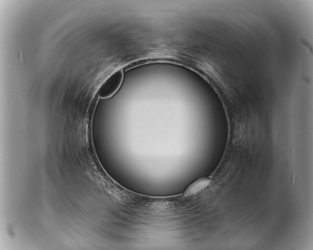 X0000100981268200807011435