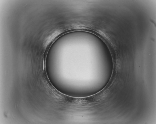 X0000100981269200807011435