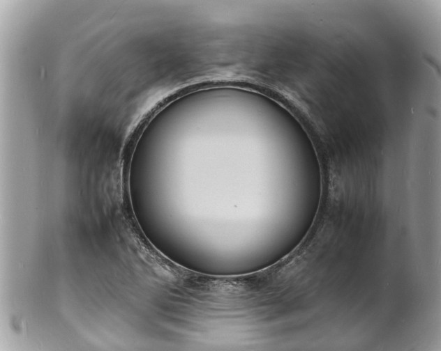 X0000100981270200807011435