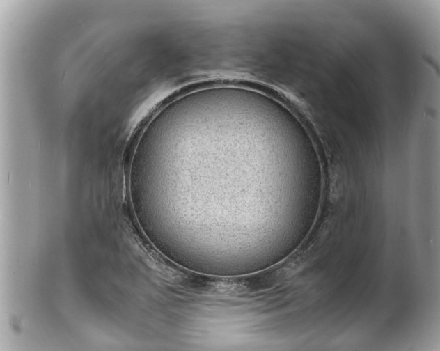 X0000100981271200807011435