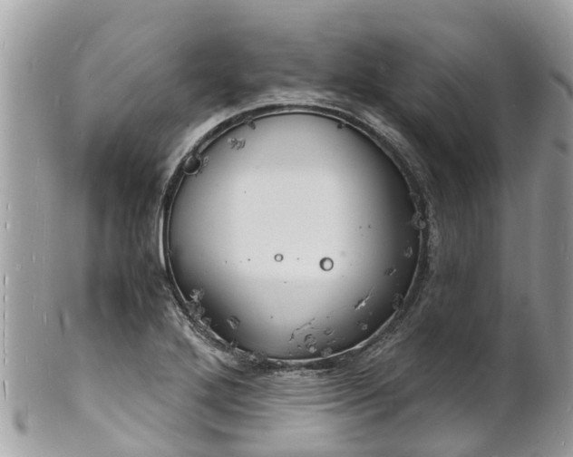 X0000100981272200807011435