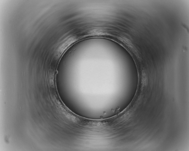 X0000100981273200807011435