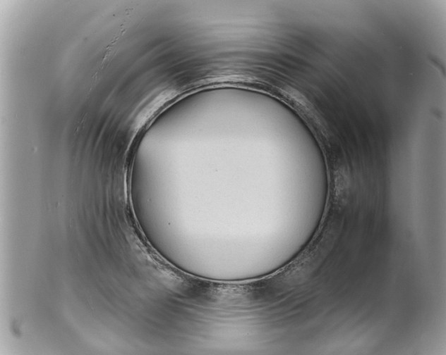 X0000100981274200807011435