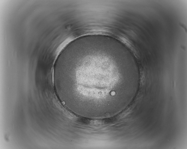 X0000100981275200807011435