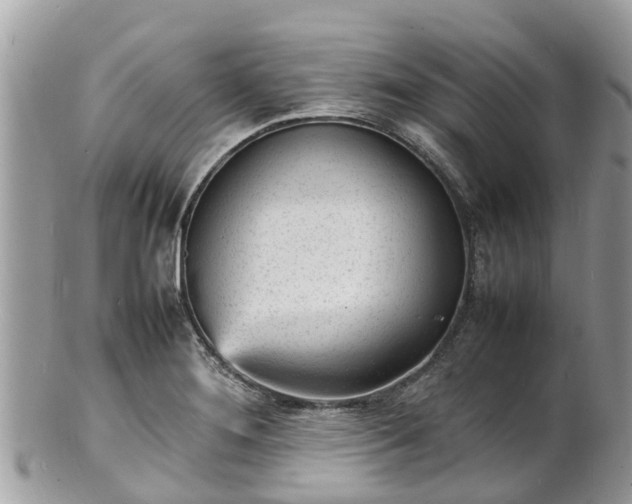 X0000100981276200807011435