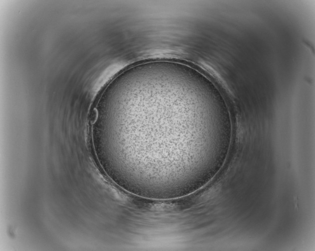 X0000100981277200807011435