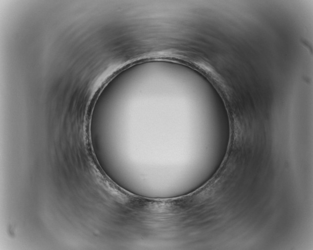 X0000100981278200807011435