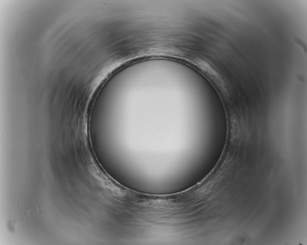 X0000100981280200807011435