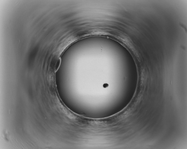 X0000100981281200807011435