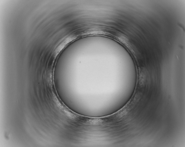 X0000100981282200807011435