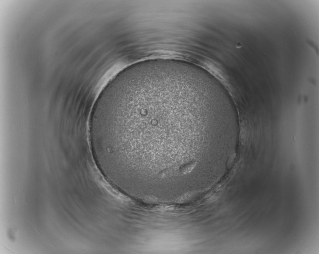 X0000100981283200807011435