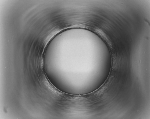 X0000100981284200807011435