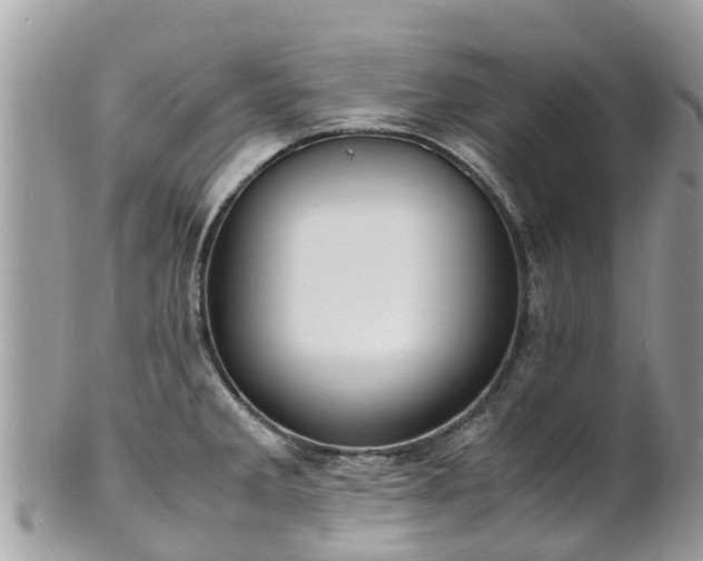 X0000100981285200807011435