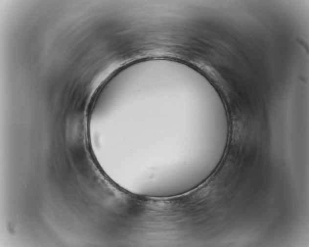 X0000100981286200807011435