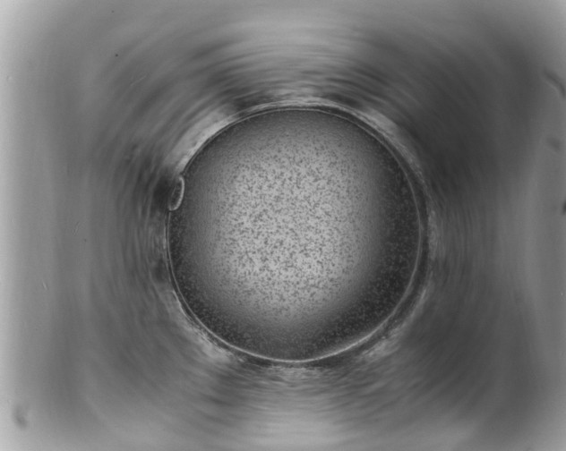 X0000100981289200807011435