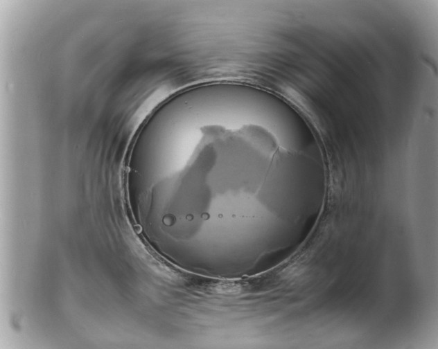 X0000100981291200807011435