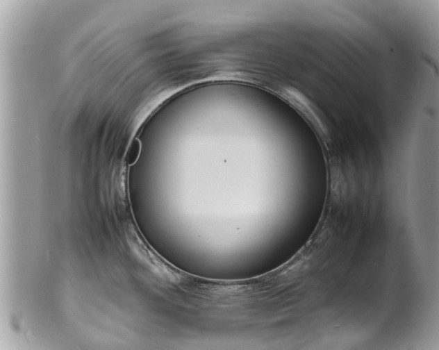 X0000100981292200807011435