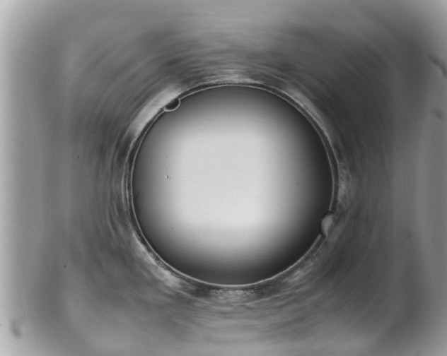 X0000100981293200807011435