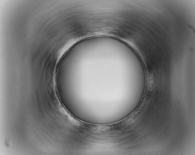 X0000100981294200807011435