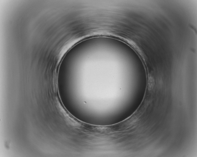 X0000100981295200807011435