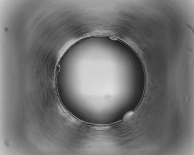 X0000100981296200807011435