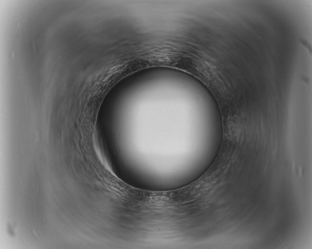 X0000100981297200807011434