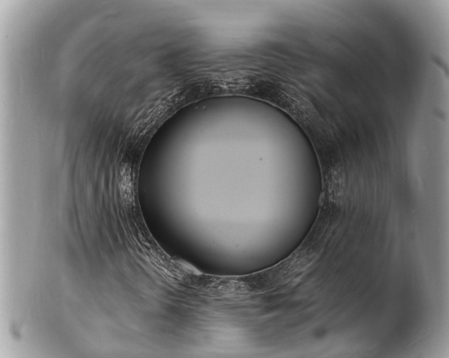 X0000100981298200807011434