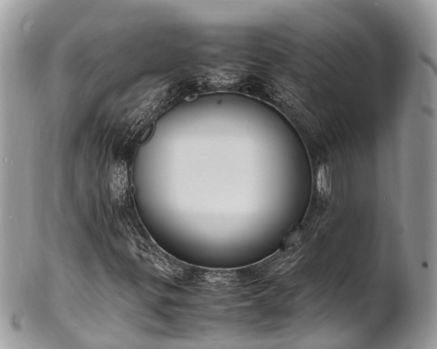 X0000100981299200807011434