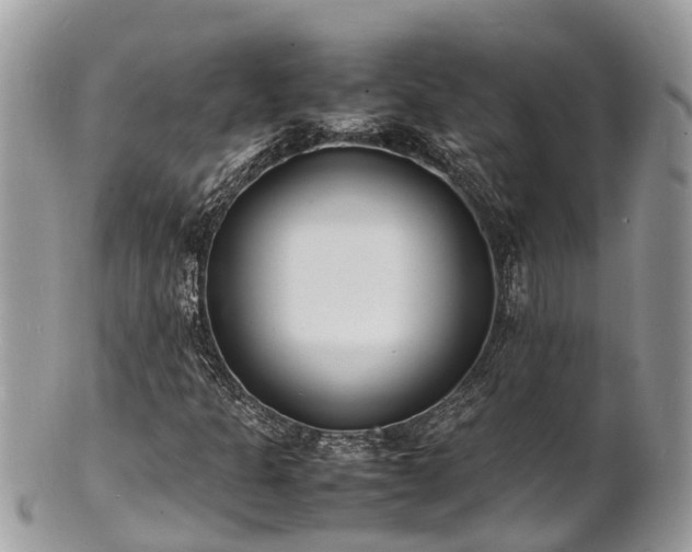 X0000100981301200807011434