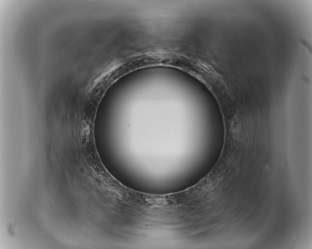 X0000100981302200807011434