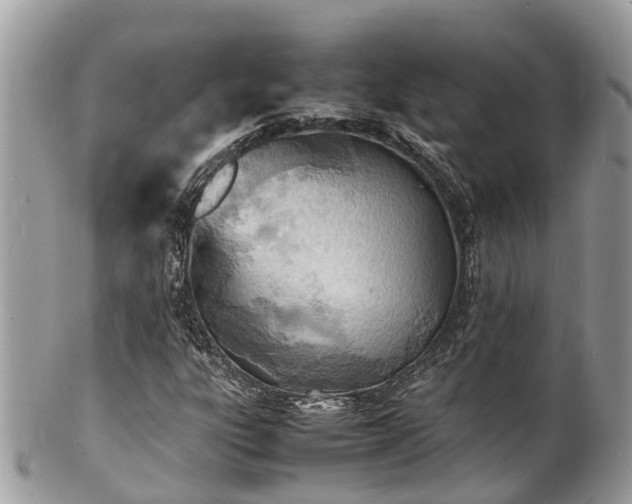 X0000100981303200807011434