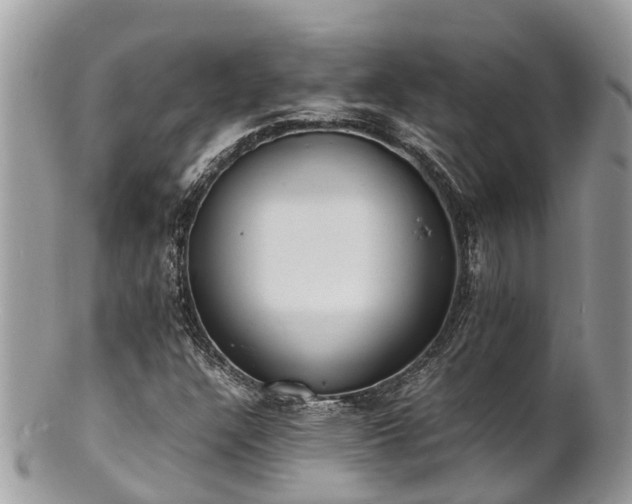 X0000100981304200807011434