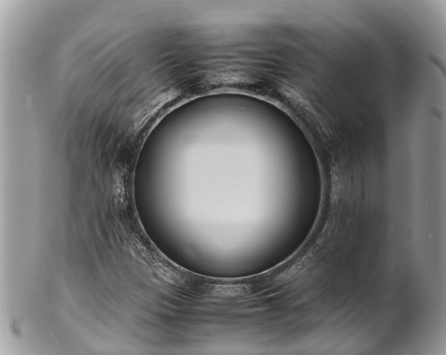 X0000100981305200807011434