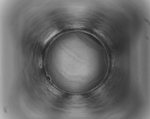 X0000100981306200807011434