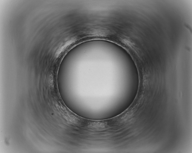 X0000100981307200807011434