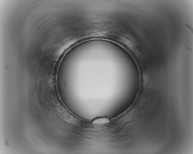 X0000100981308200807011434