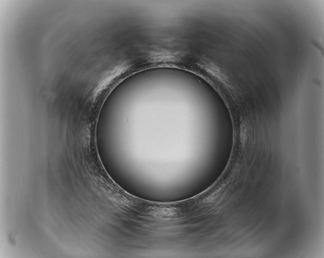 X0000100981309200807011434