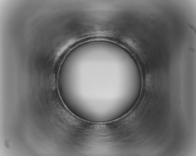 X0000100981310200807011434