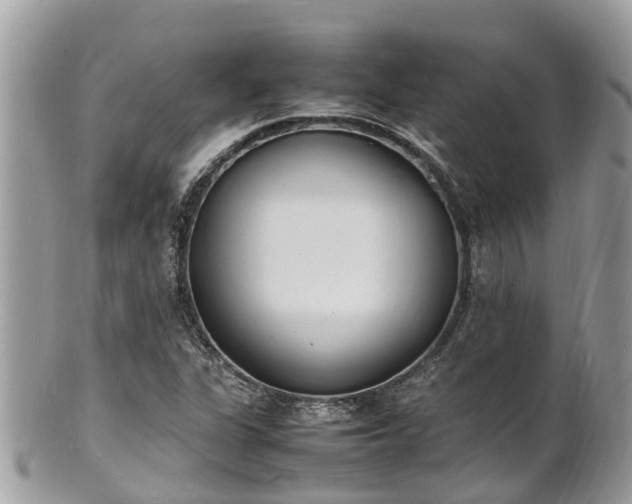 X0000100981311200807011434