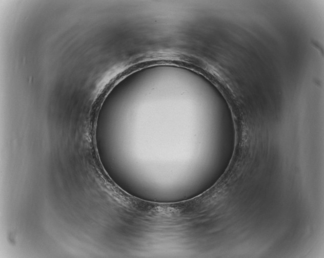 X0000100981312200807011434