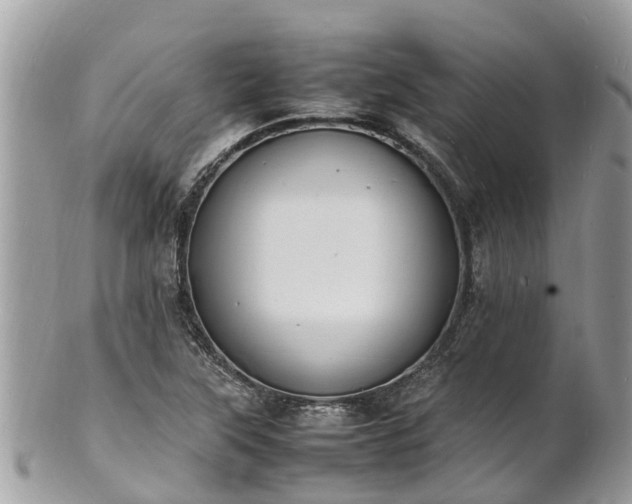 X0000100981315200807011434