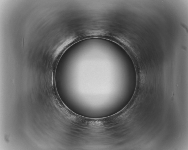 X0000100981317200807011434